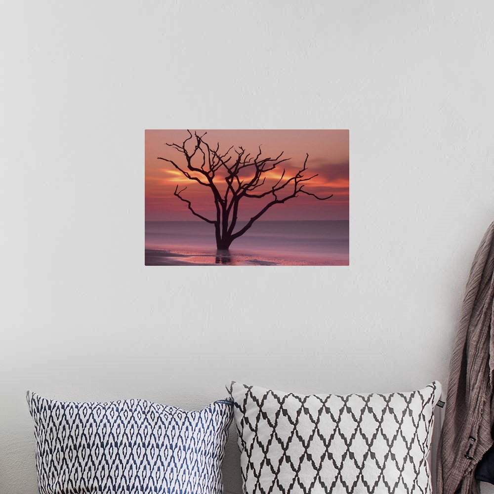 A bohemian room featuring A tree growing in the water off the coast of Botany Bay, South Carolina, under an orange sunset sky.