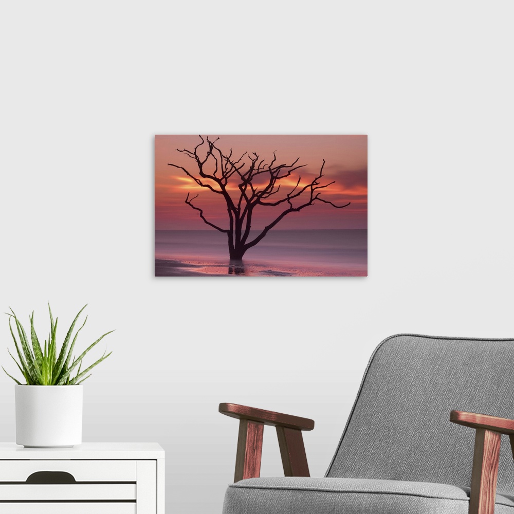 A modern room featuring A tree growing in the water off the coast of Botany Bay, South Carolina, under an orange sunset sky.