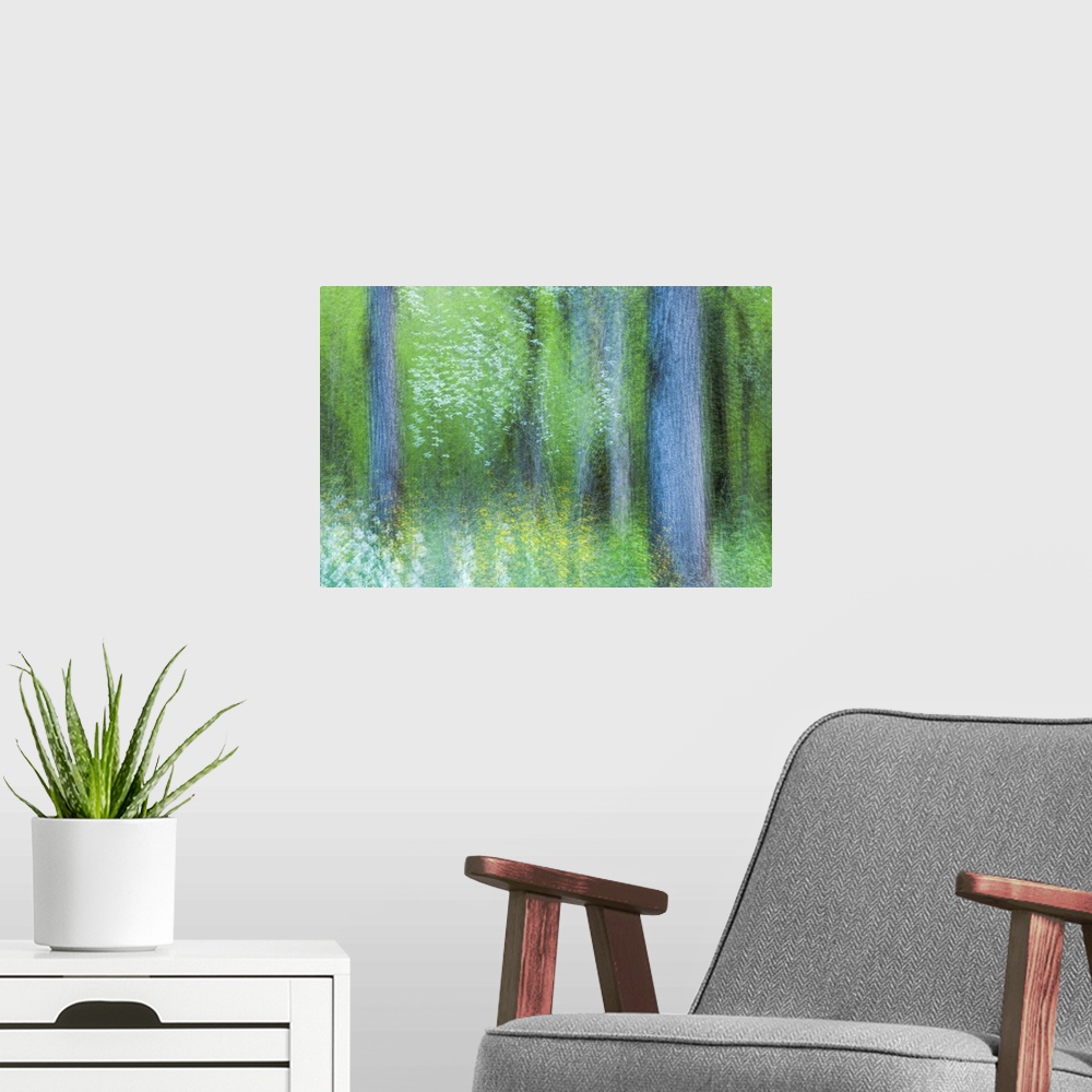 A modern room featuring Blurred motion image of a green forest in the Great Smoky Mountains in the springtime, creating a...