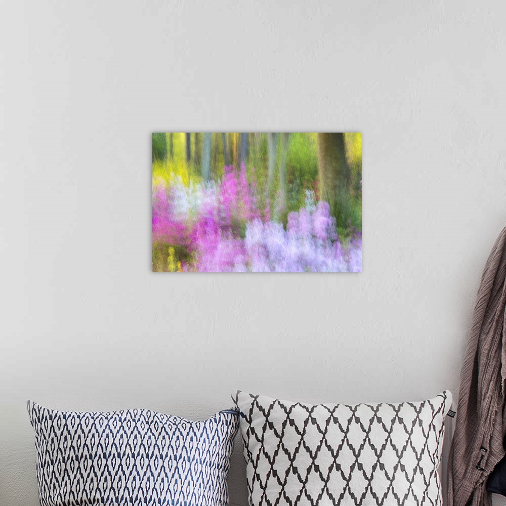 A bohemian room featuring Blurred motion image of bright pink and lavender flowers blossoming in Charleston, South Carolina.
