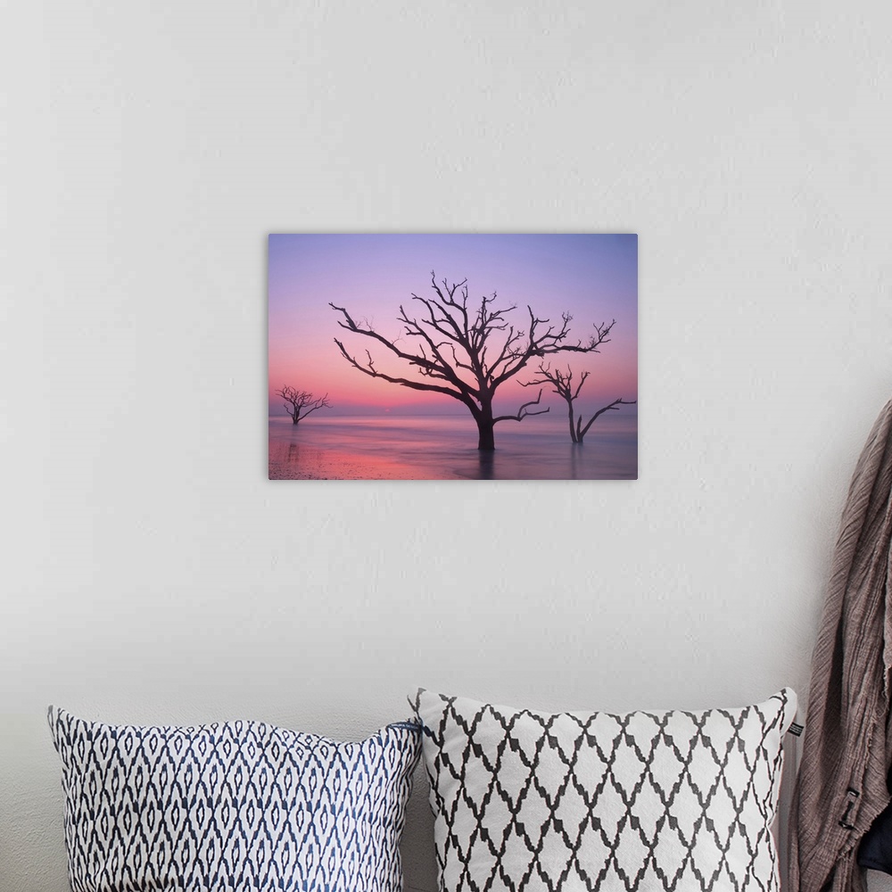 A bohemian room featuring Silhouettes of trees in the ocean with a pink sky at dawn.