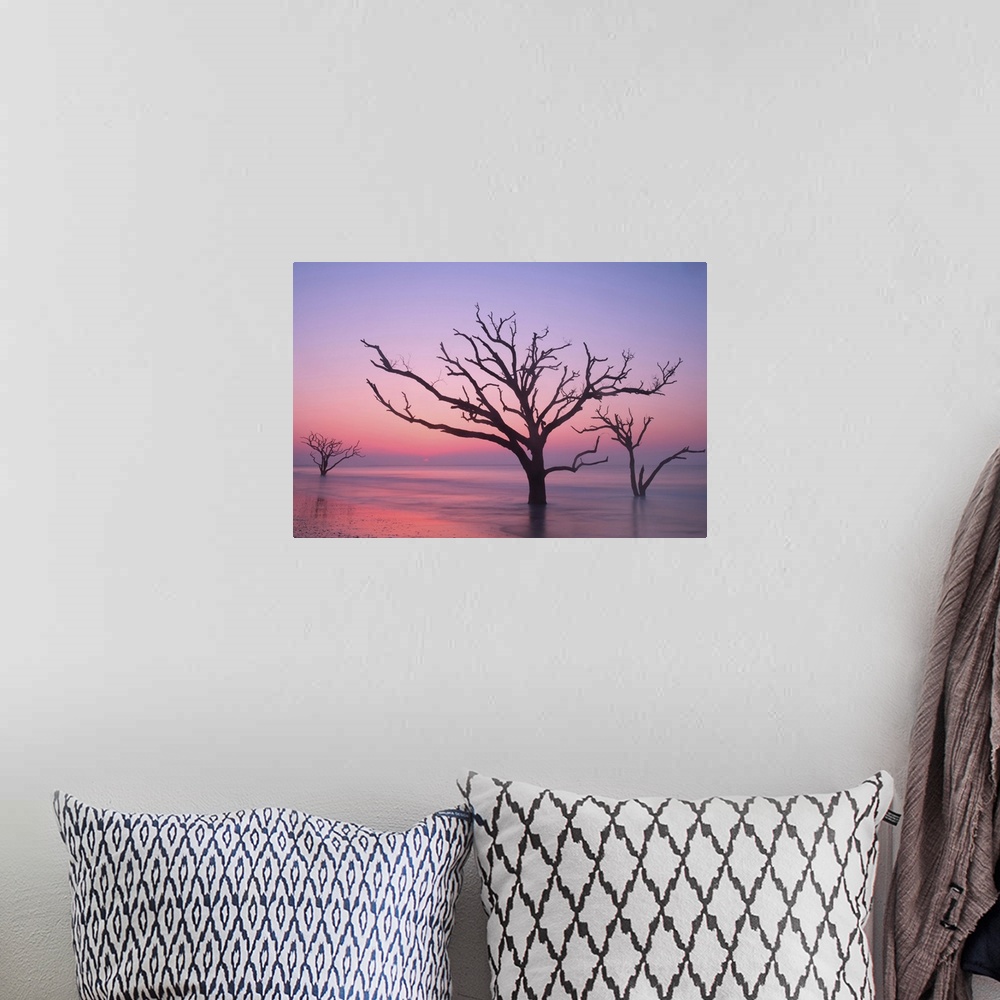 A bohemian room featuring Silhouettes of trees in the ocean with a pink sky at dawn.