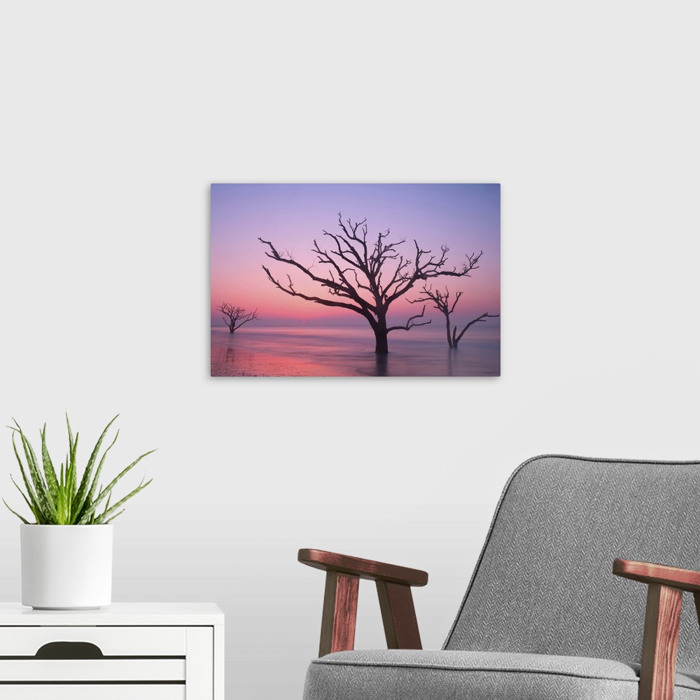 A modern room featuring Silhouettes of trees in the ocean with a pink sky at dawn.