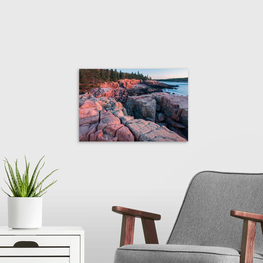 A modern room featuring Warm sunlight on the rocky coast in Acadia National Park, Maine.