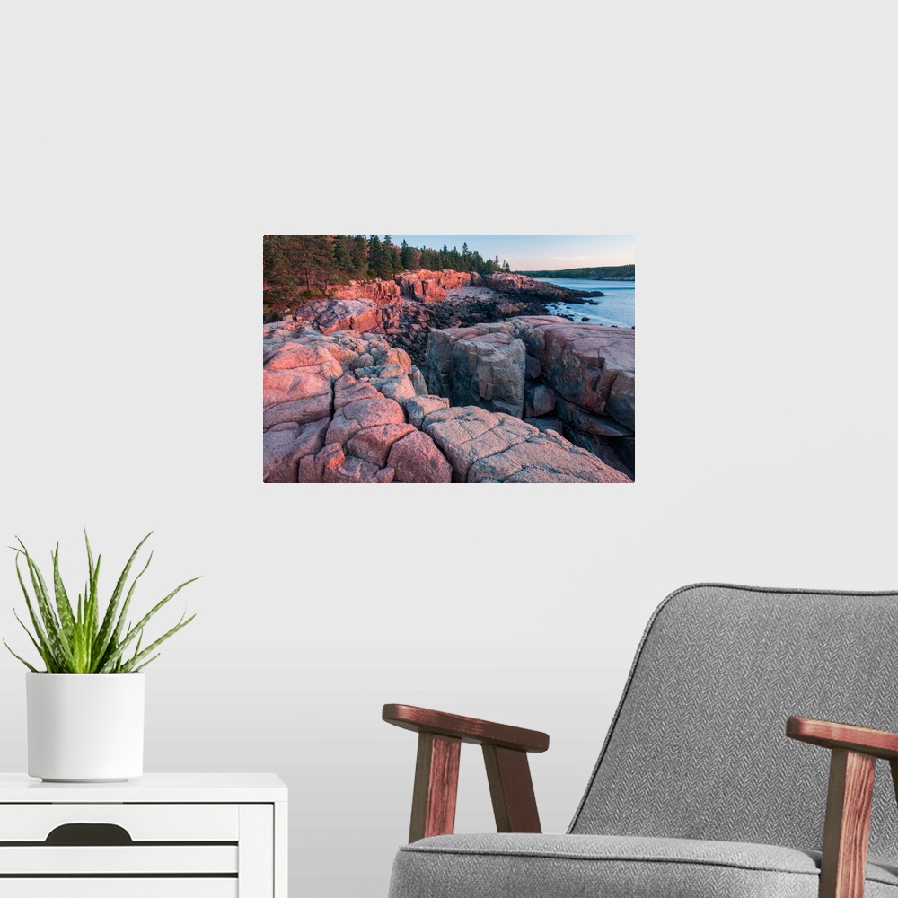 A modern room featuring Warm sunlight on the rocky coast in Acadia National Park, Maine.