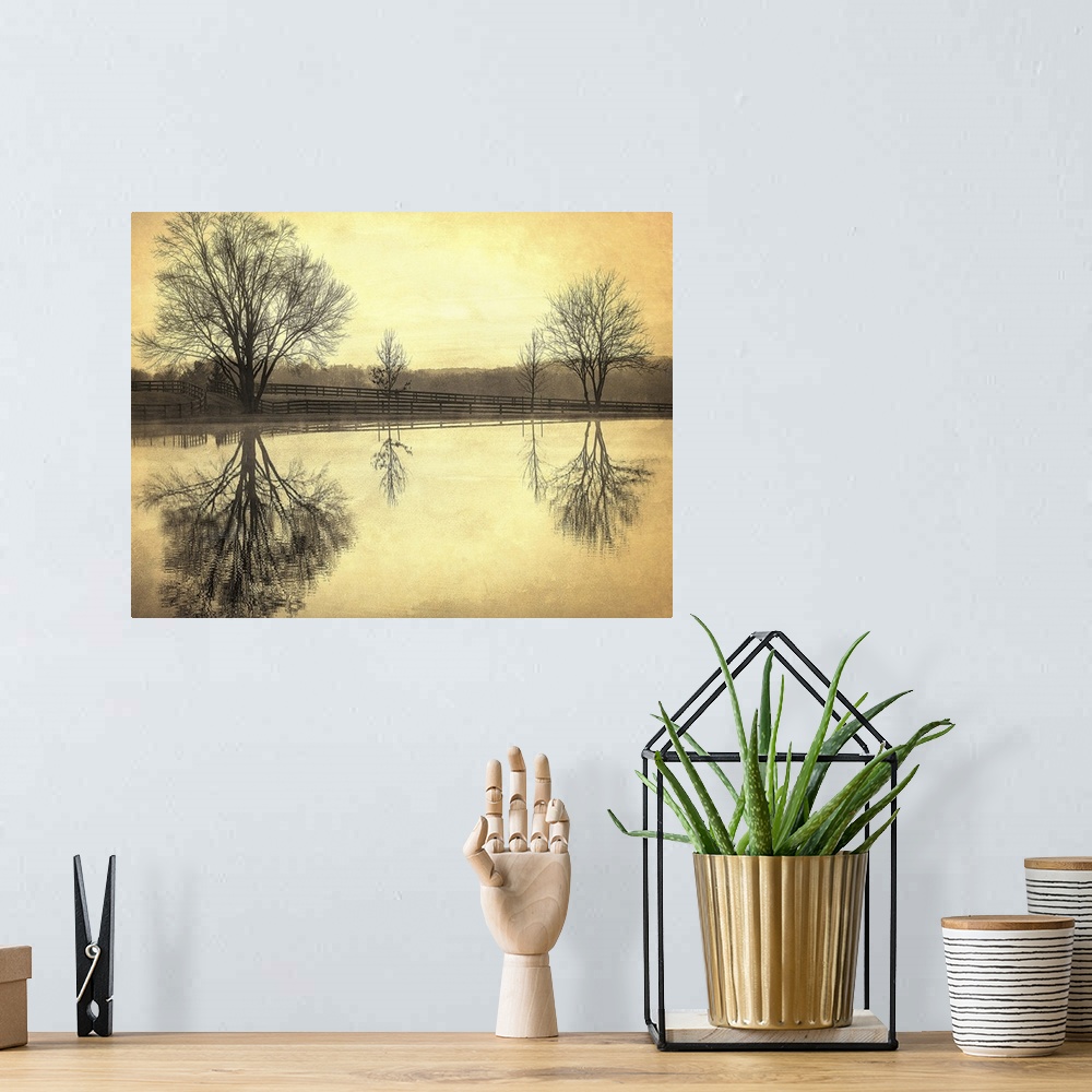 A bohemian room featuring Trees at the edge of a pond reflected in the water with golden light, Oregon Ridge, Maryland.