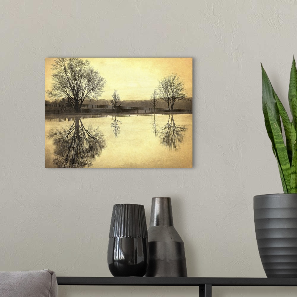A modern room featuring Trees at the edge of a pond reflected in the water with golden light, Oregon Ridge, Maryland.