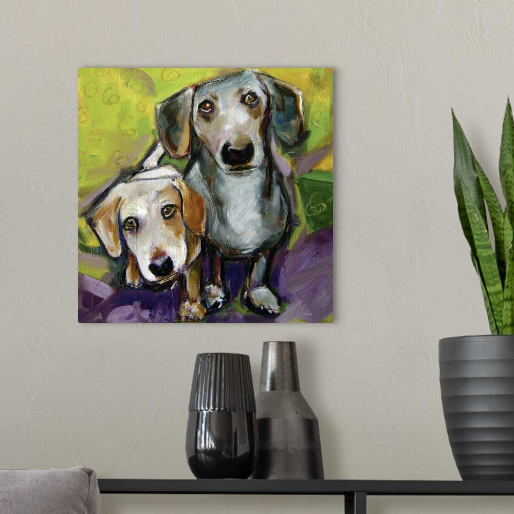 A modern room featuring Two Dogs