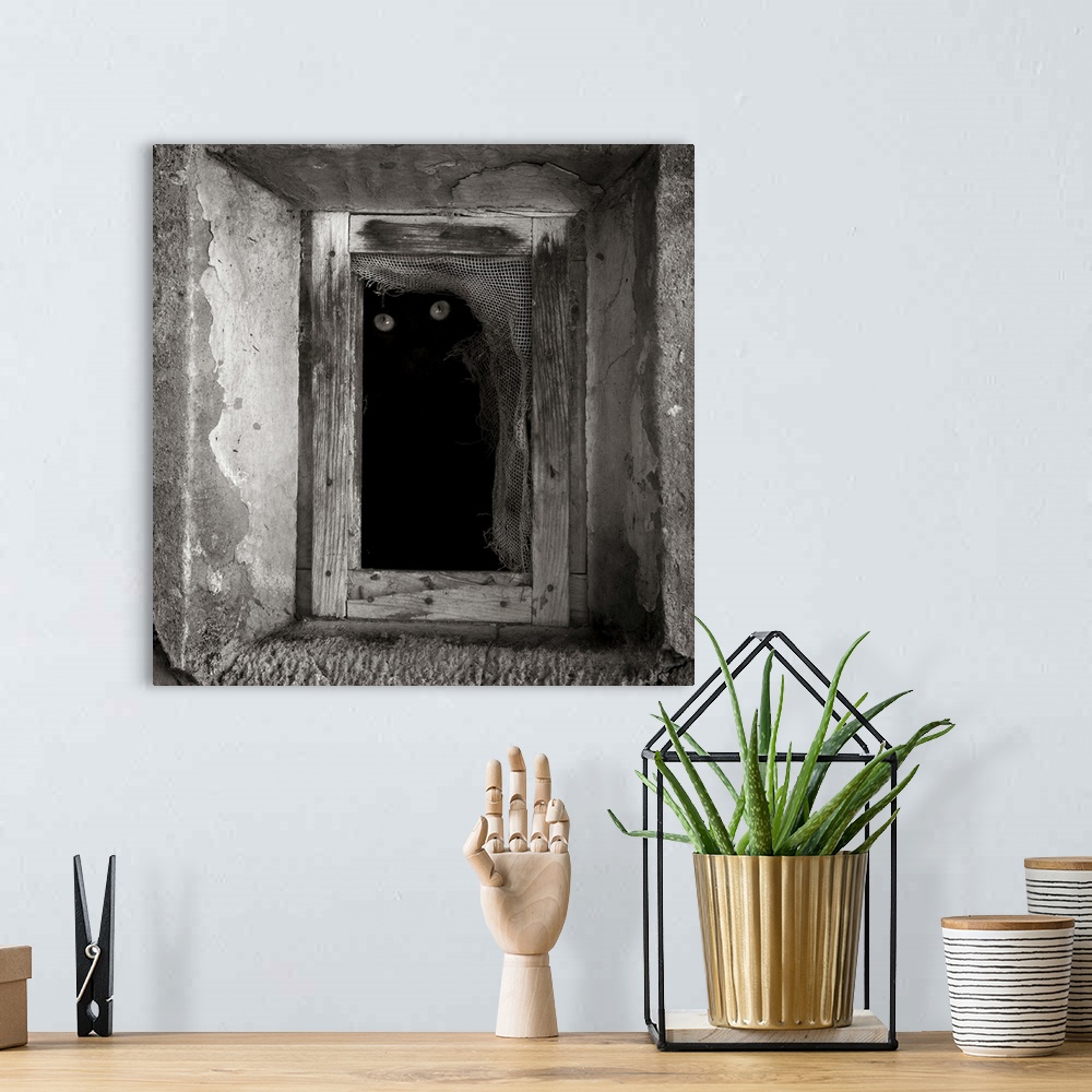 A bohemian room featuring A black cat inside a window