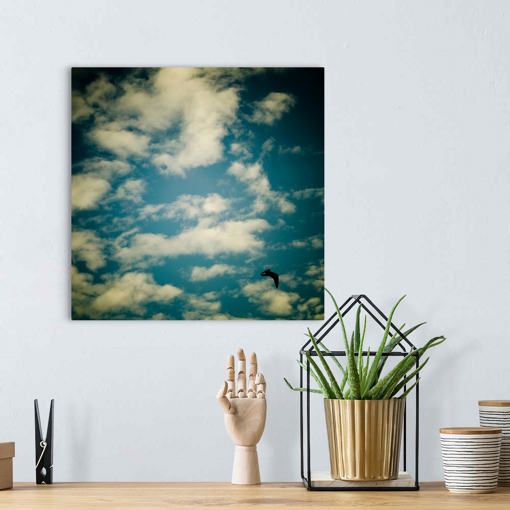 A bohemian room featuring A bluse sky with white clouds and a seagull