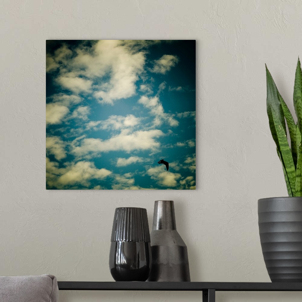 A modern room featuring A bluse sky with white clouds and a seagull