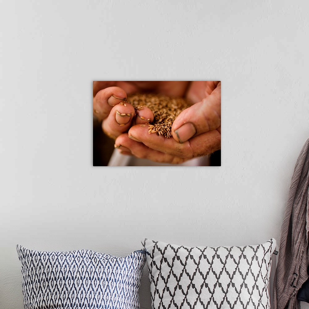 A bohemian room featuring A farmer holds sea oats seeds in his hard worked, dirty hands