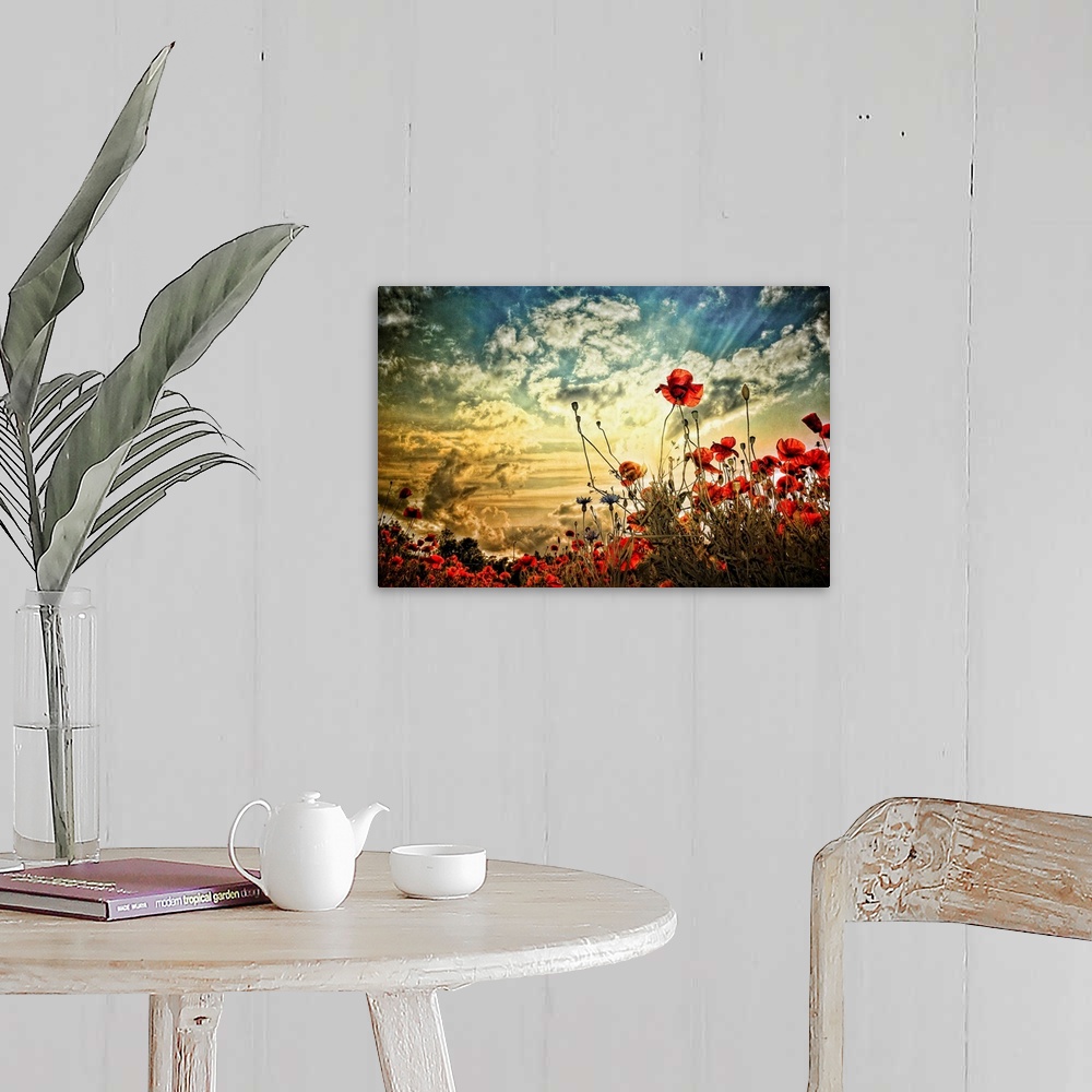 A farmhouse room featuring Photograph of a poppy field under a cloudy sky.