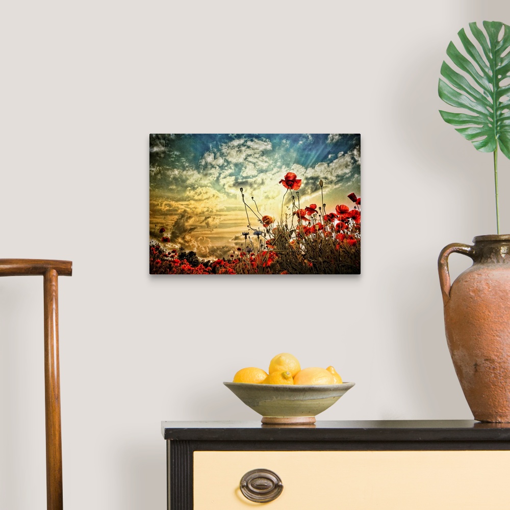 A traditional room featuring Photograph of a poppy field under a cloudy sky.