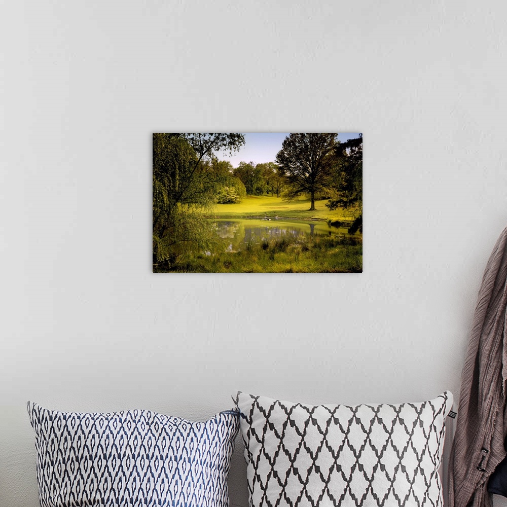 A bohemian room featuring A peaceful rural scene with trees lake, green grass and blue sky