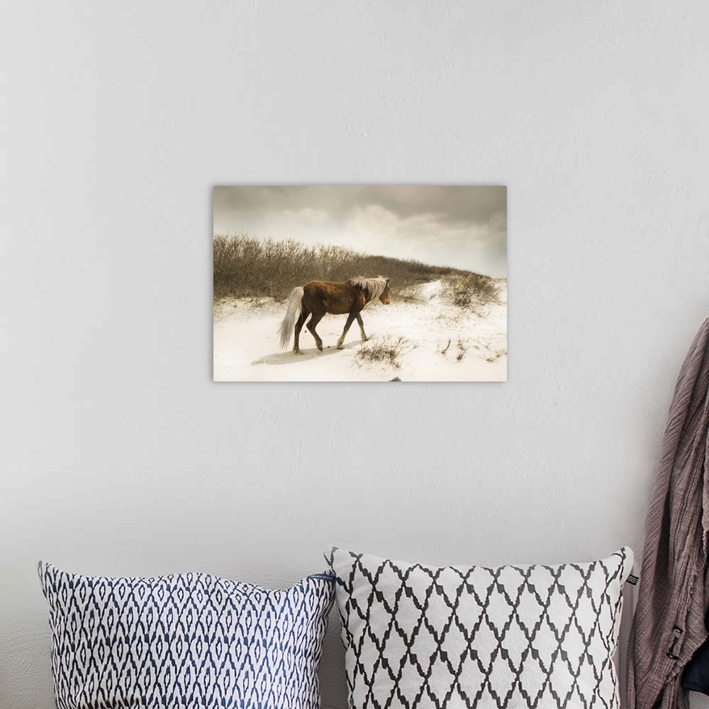 A bohemian room featuring Horizontal photograph on a large canvas of a brown wild horse, walking in front of tall grasses o...