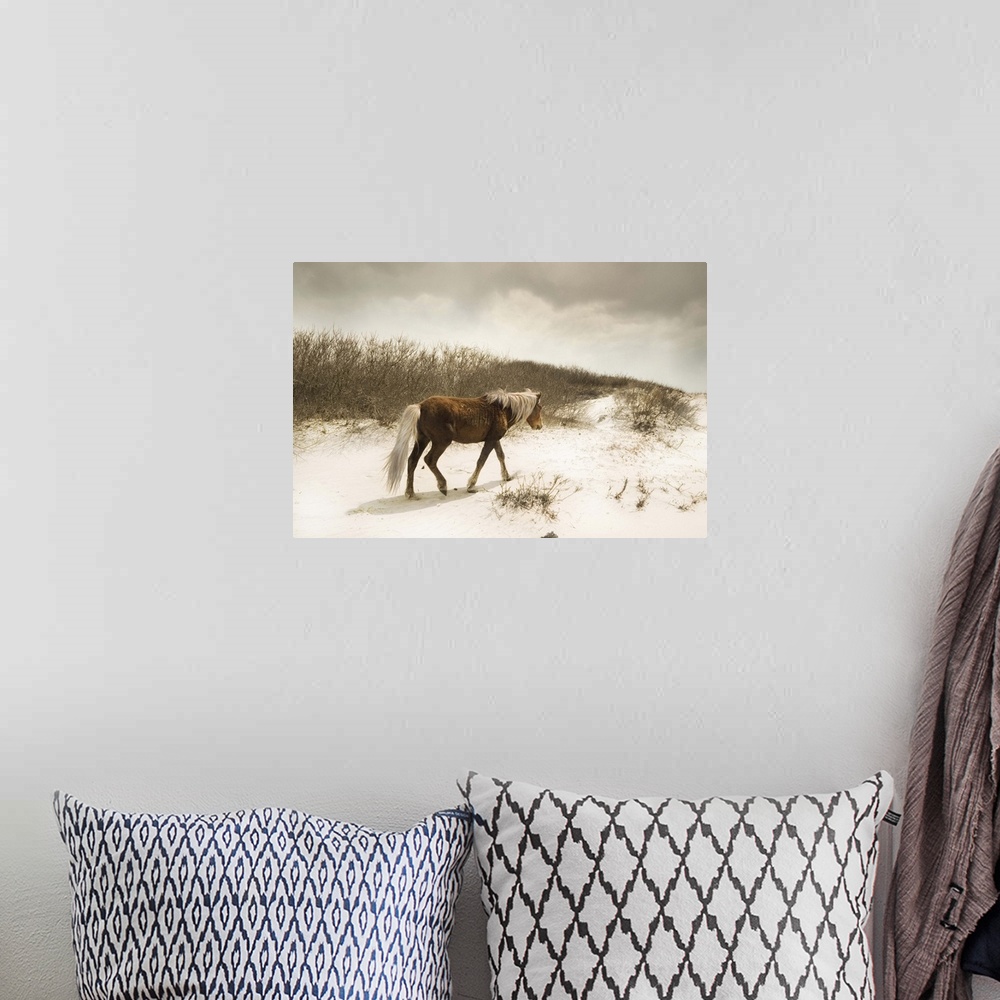 A bohemian room featuring Horizontal photograph on a large canvas of a brown wild horse, walking in front of tall grasses o...