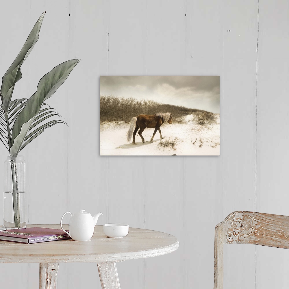 A farmhouse room featuring Horizontal photograph on a large canvas of a brown wild horse, walking in front of tall grasses o...