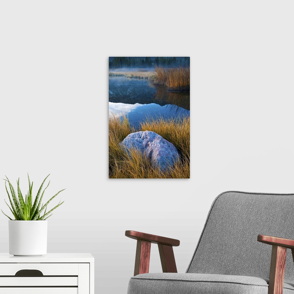 A modern room featuring A rural scene with lake and reeds