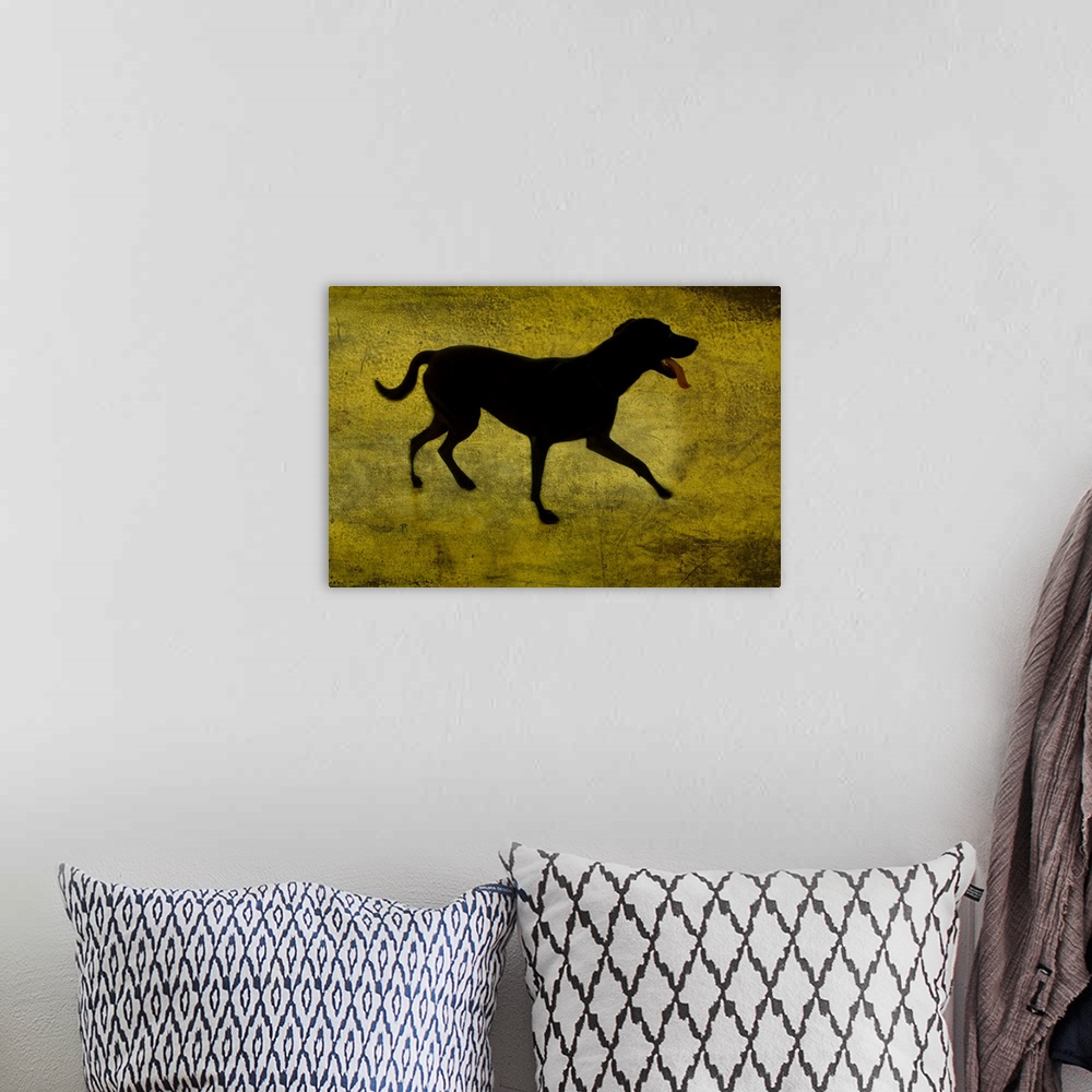 A bohemian room featuring A silhouette of a short haired dog