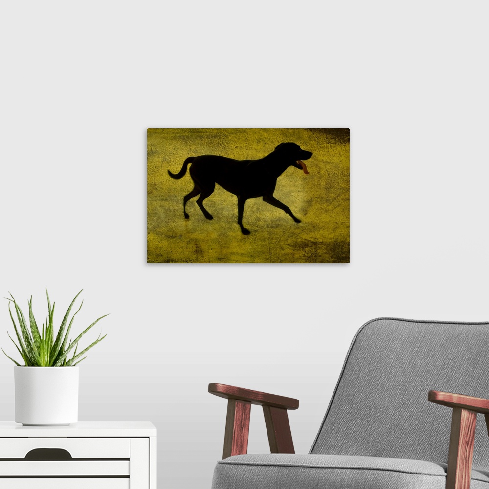 A modern room featuring A silhouette of a short haired dog