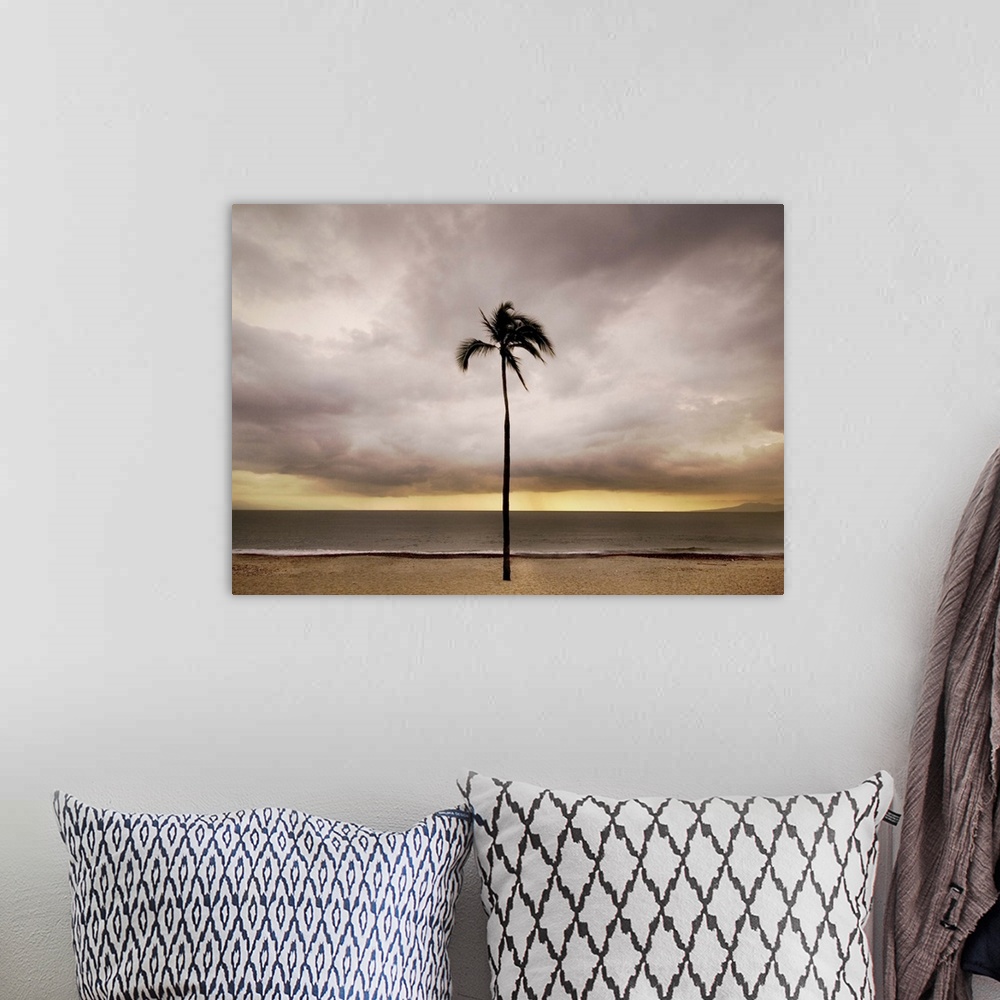 A bohemian room featuring A single palm tree on a beach