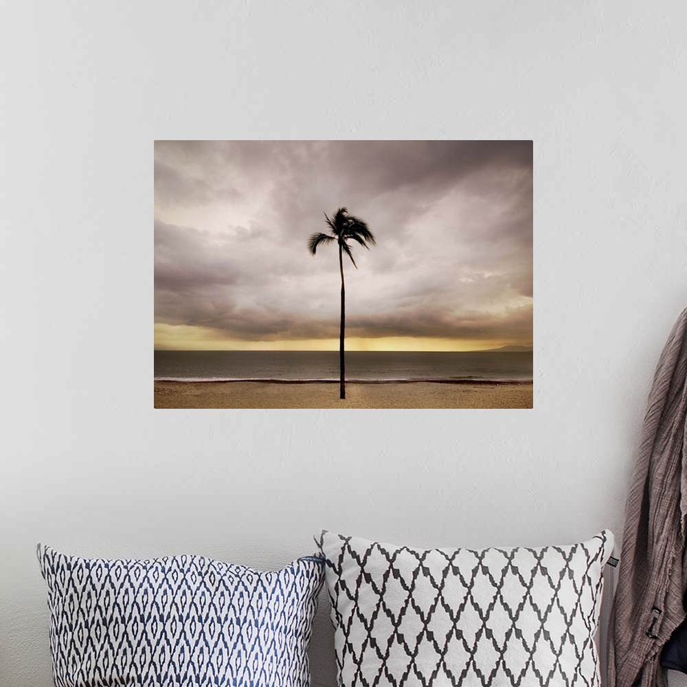 A bohemian room featuring A single palm tree on a beach