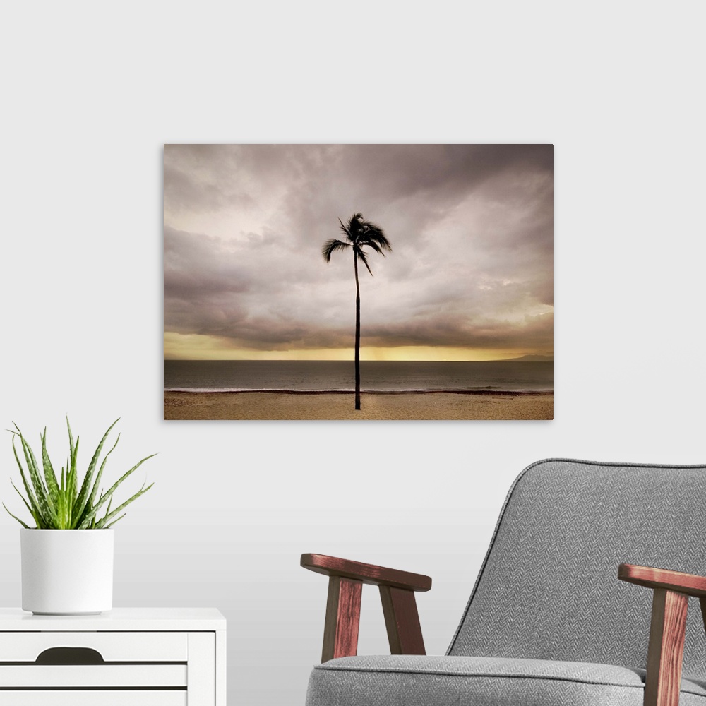 A modern room featuring A single palm tree on a beach