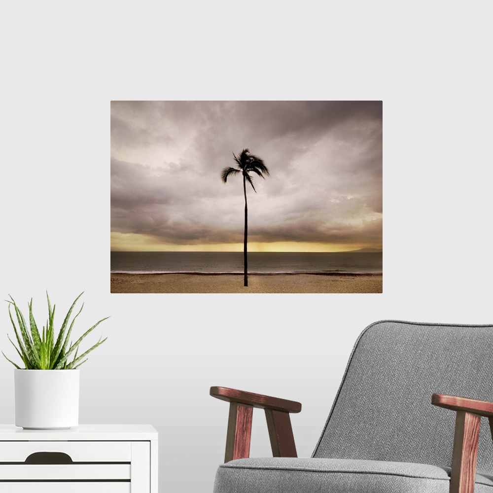 A modern room featuring A single palm tree on a beach