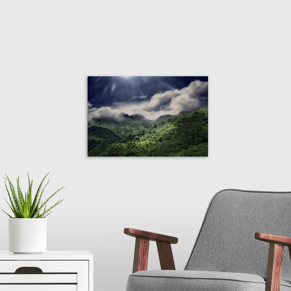 A modern room featuring A sunny day in El Yunque National Park in Puerto Rico with clouds and fog on the rain forest