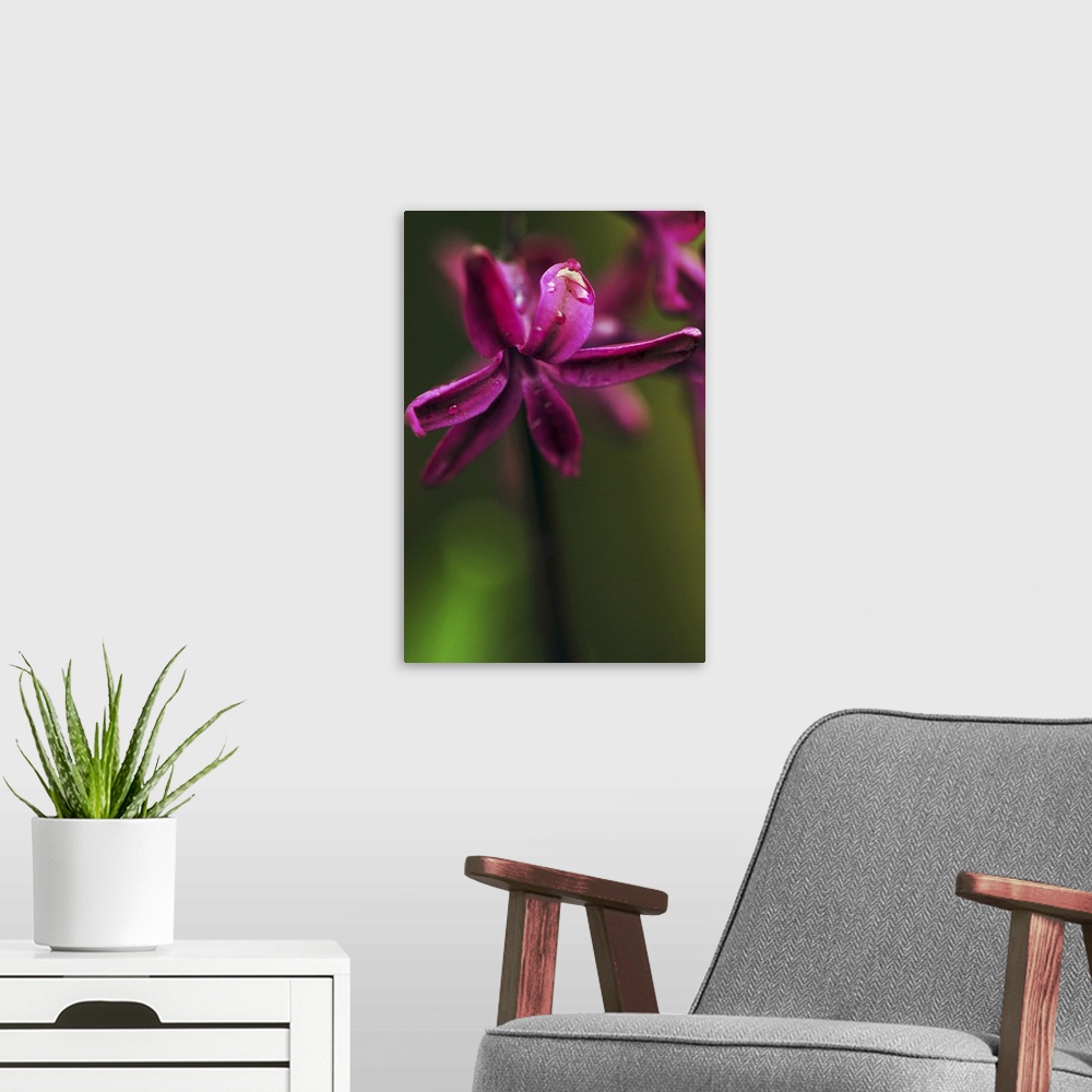 A modern room featuring A vivid purple flower