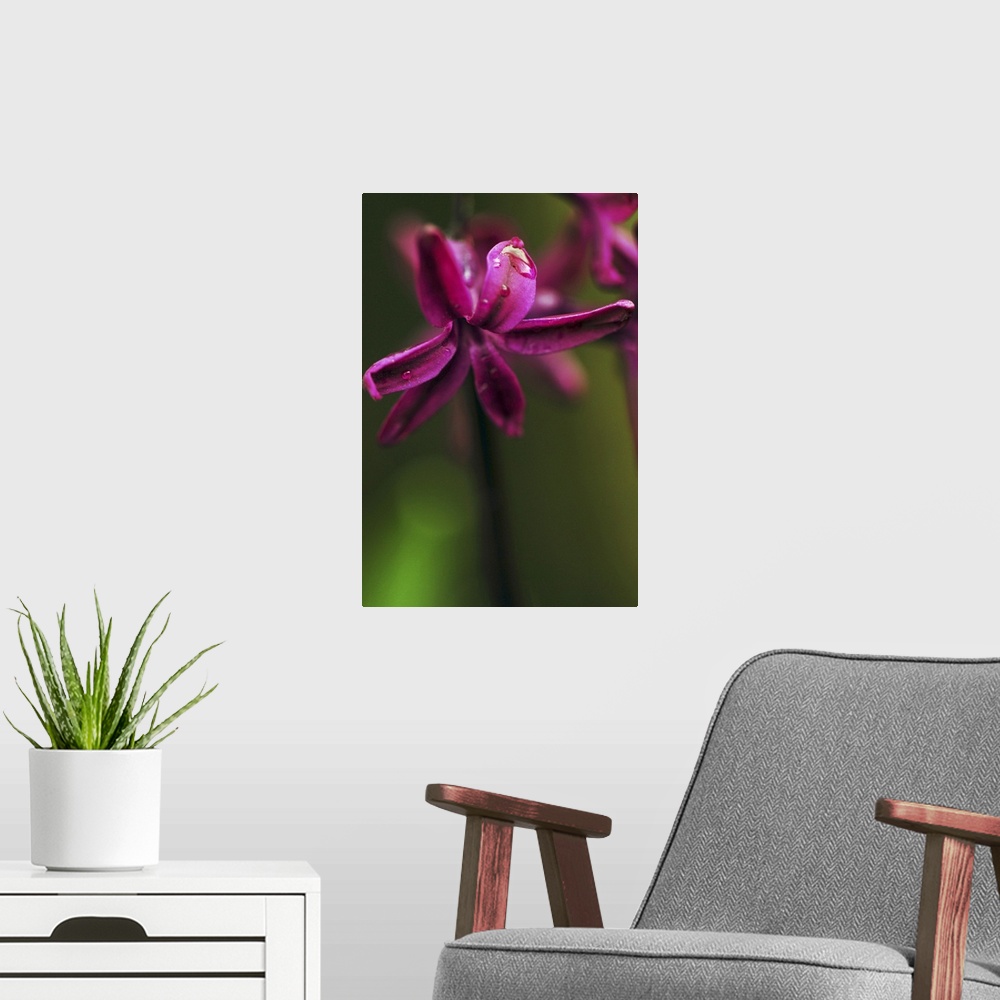 A modern room featuring A vivid purple flower