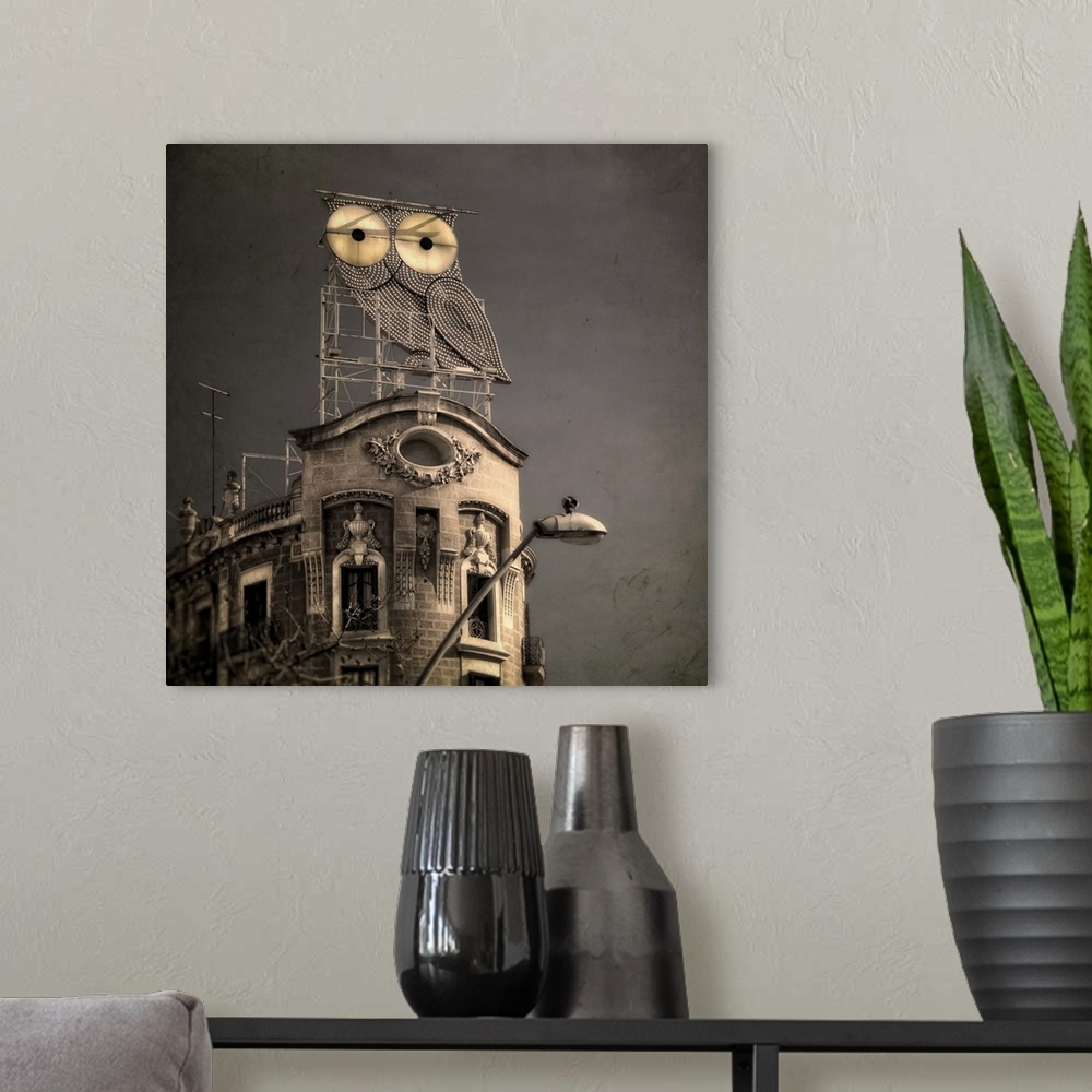 A modern room featuring An owl on a roof in the city