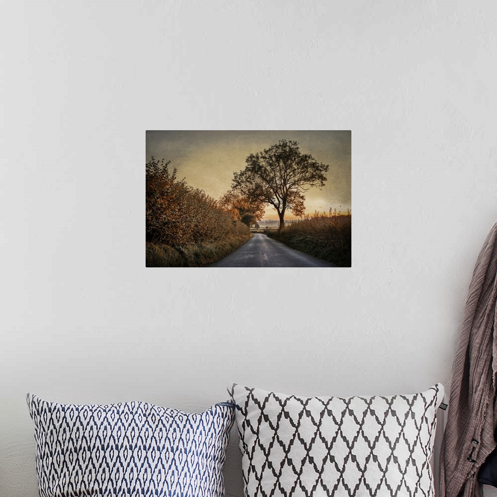 A bohemian room featuring A peaceful rural scene in England at dawn with hedgerows and trees in autumn.