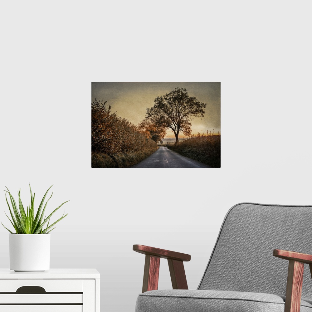 A modern room featuring A peaceful rural scene in England at dawn with hedgerows and trees in autumn.