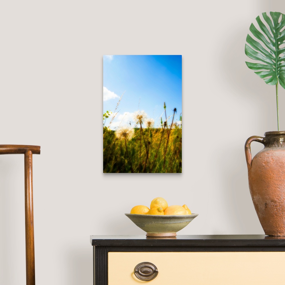 A traditional room featuring backlit dandelion clocks
