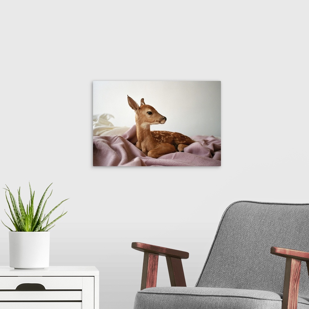 A modern room featuring portrait of a fawn sitting on a bed