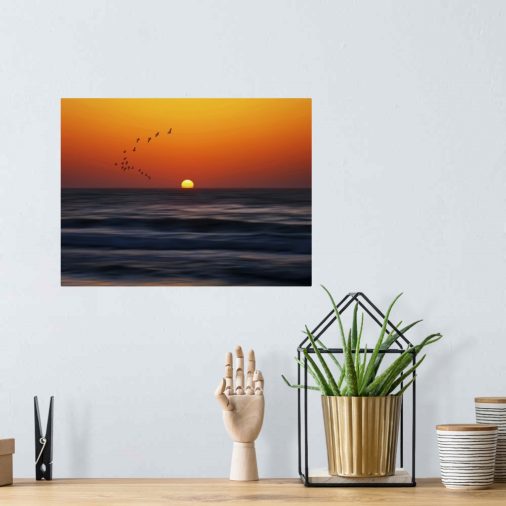 A bohemian room featuring Birds at sunset