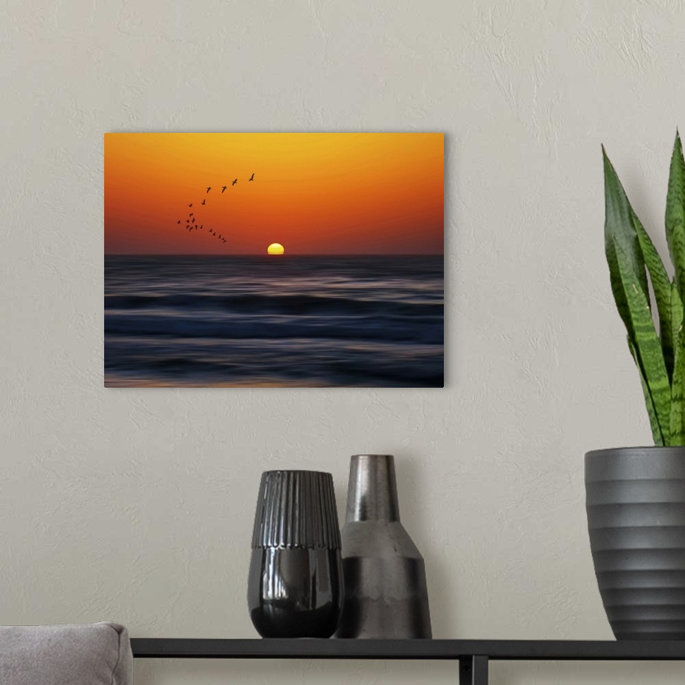 A modern room featuring Birds at sunset