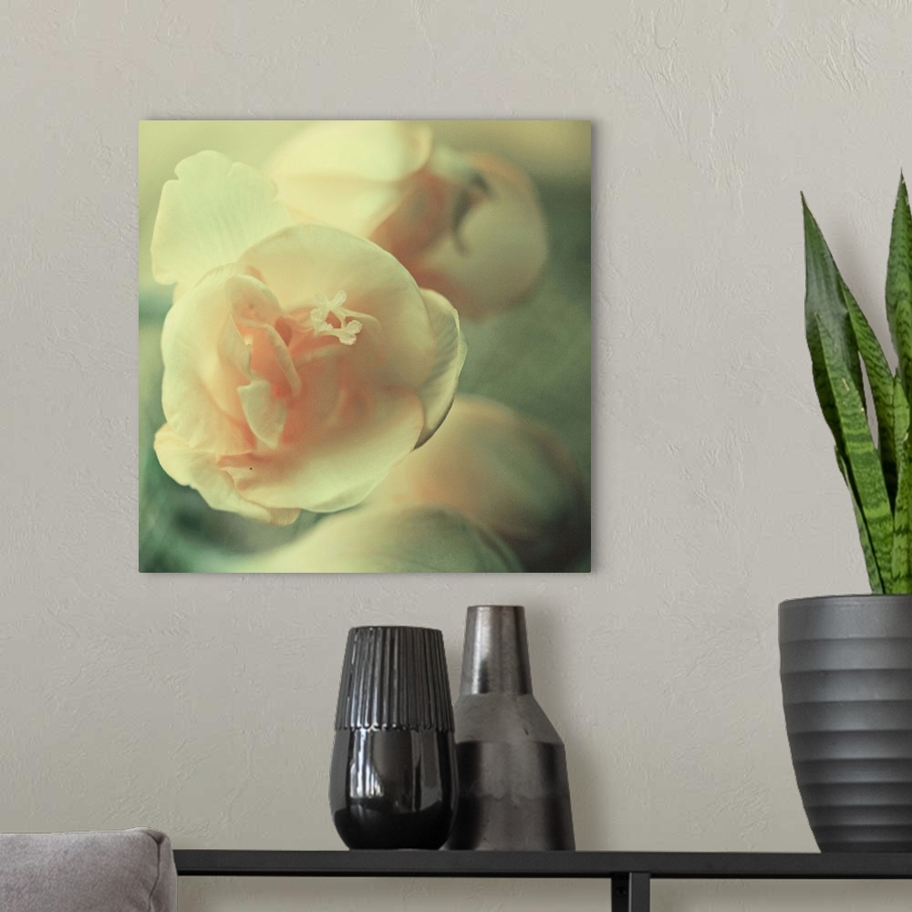 A modern room featuring Macro photo of a little yellow and rose flower with blurred background.