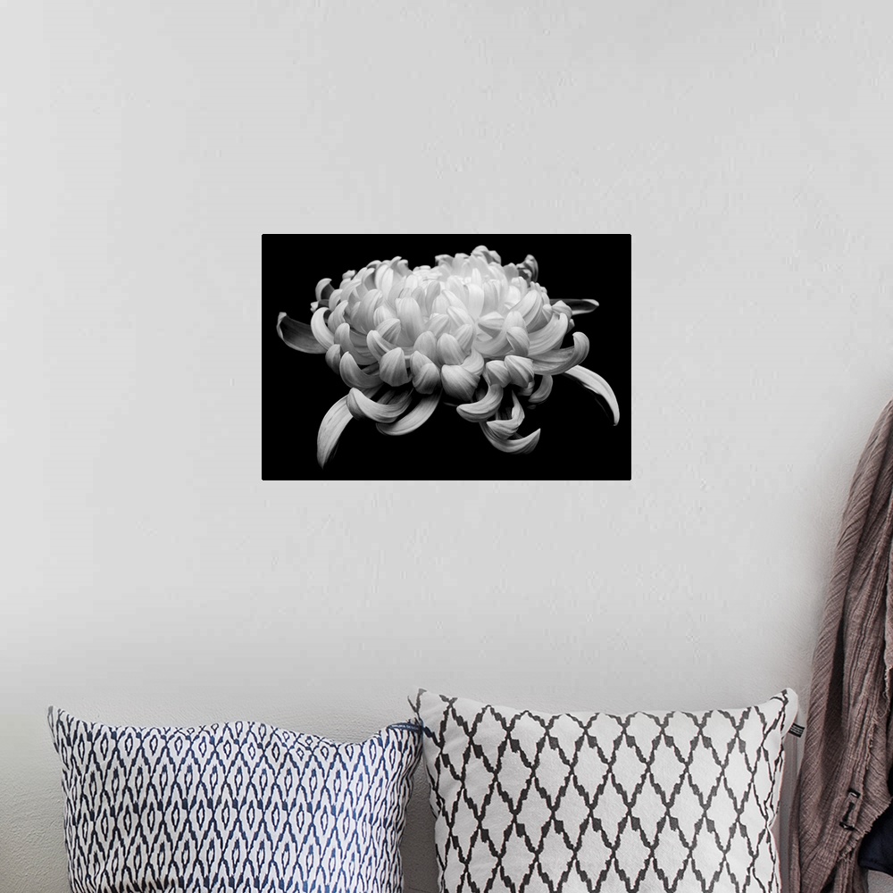 A bohemian room featuring black and white chrysanthemum on black background