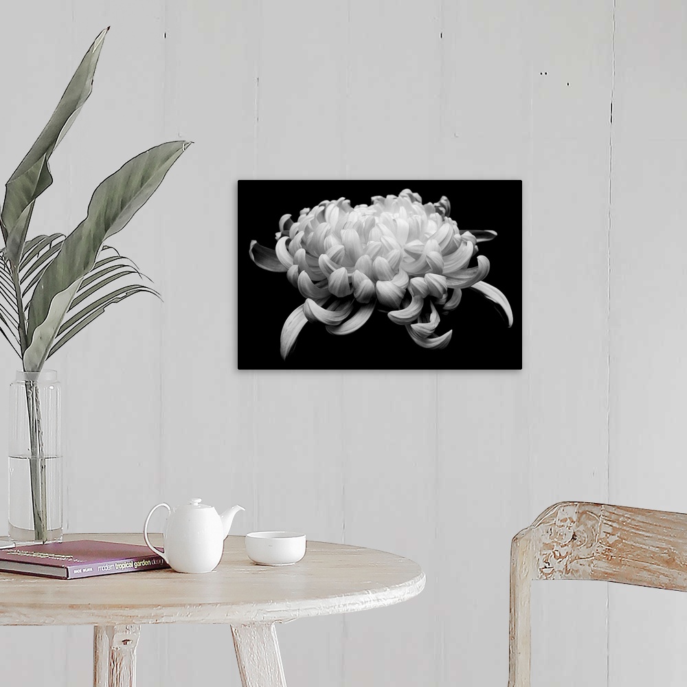 A farmhouse room featuring black and white chrysanthemum on black background
