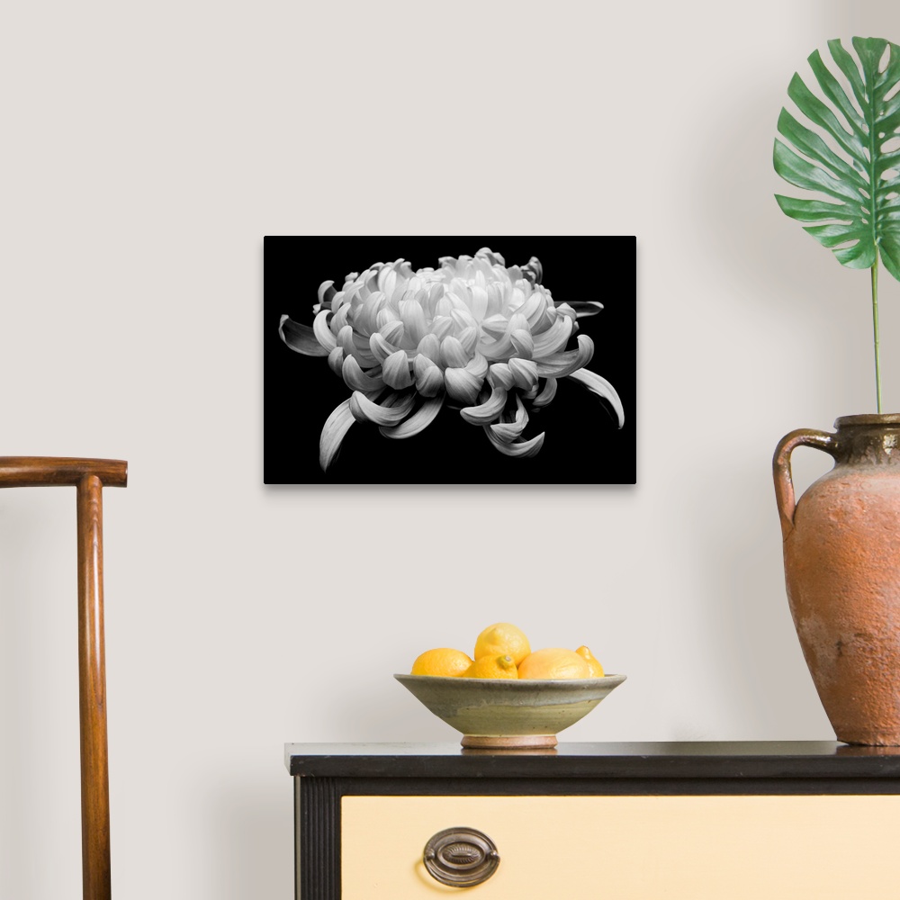A traditional room featuring black and white chrysanthemum on black background