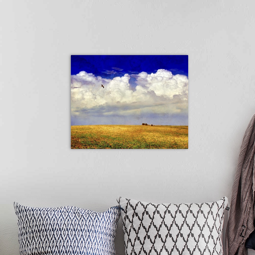 A bohemian room featuring A bird flying above a yellow field with large white clouds against a blue sky