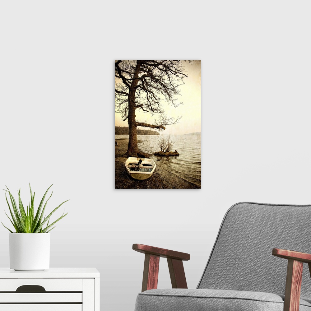 A modern room featuring A small fibreglass rowing boat on the shore of a lake beside a tree in winter