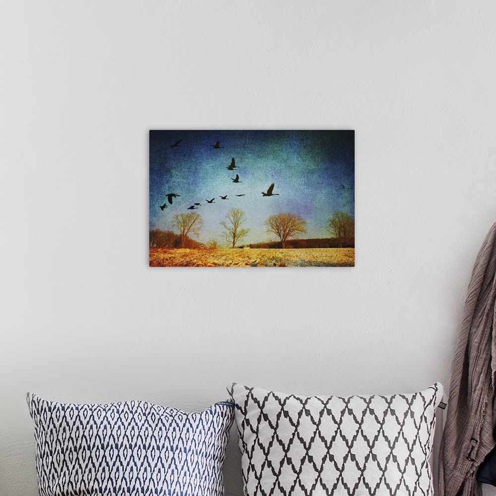 A bohemian room featuring Canadian Geese flying over wintry Connecticut landscape.