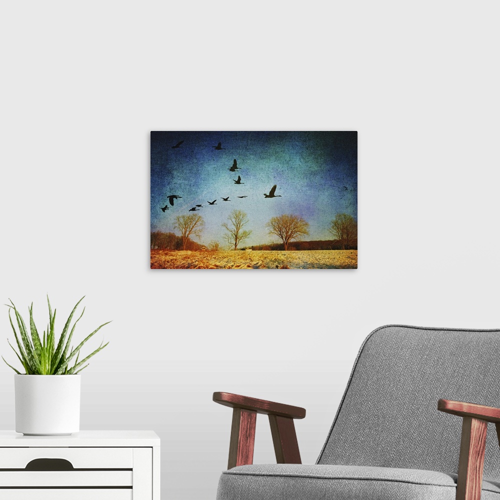 A modern room featuring Canadian Geese flying over wintry Connecticut landscape.