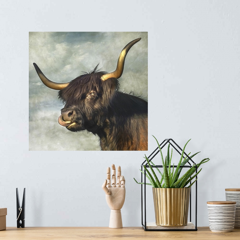 A bohemian room featuring Highland cow with dark coat and long horns.