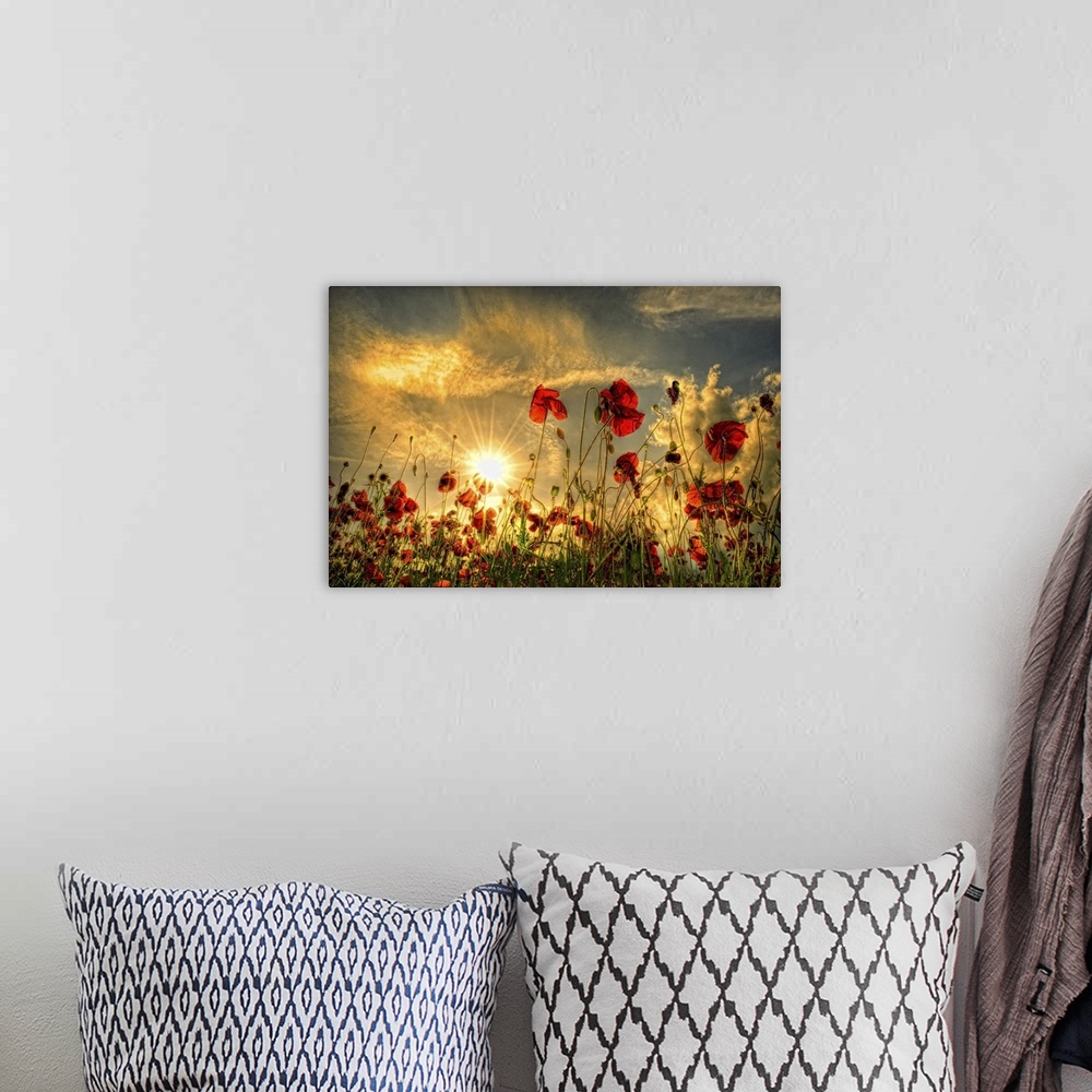 A bohemian room featuring Sunset with red poppies in a field.