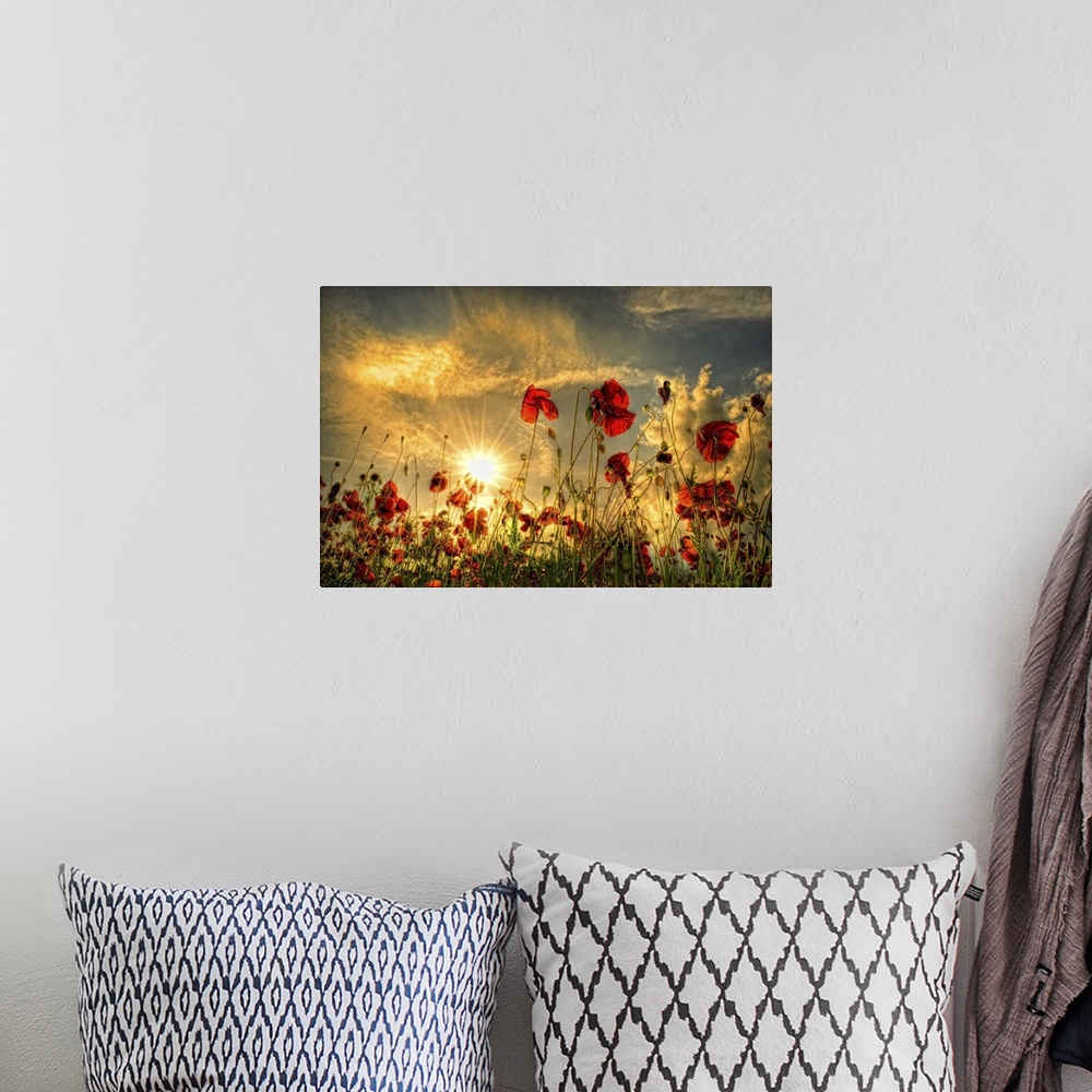 A bohemian room featuring Sunset with red poppies in a field.